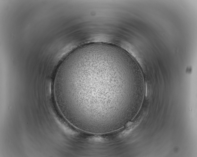 X0000093730253200710231157