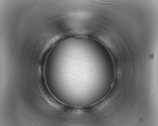 X0000093730254200710231157