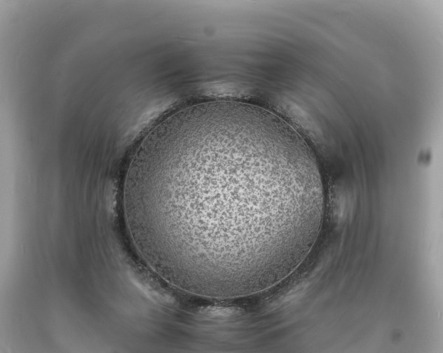 X0000093730255200710231157