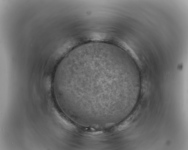 X0000093730257200710231157