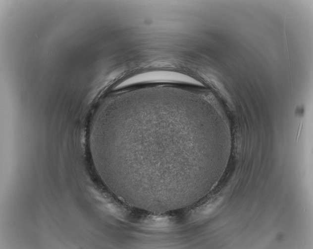 X0000093730260200710231157