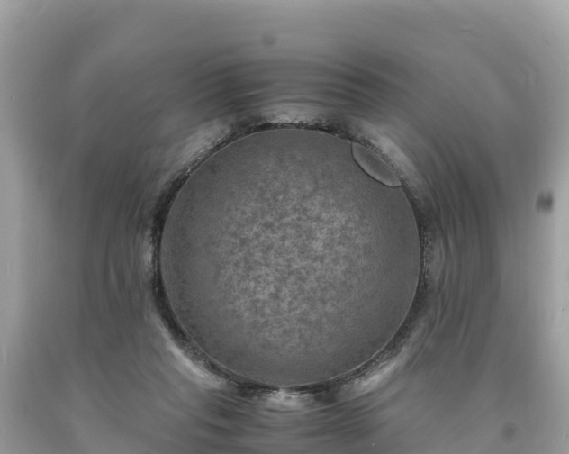 X0000093730261200710231157