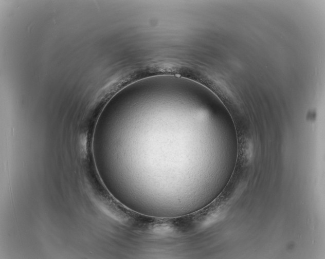 X0000093730262200710231157