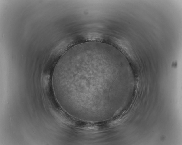 X0000093730263200710231157