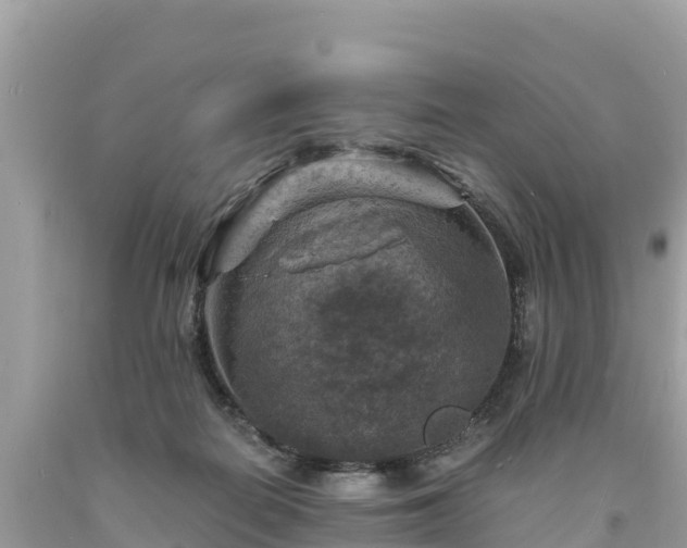 X0000093730266200710231157