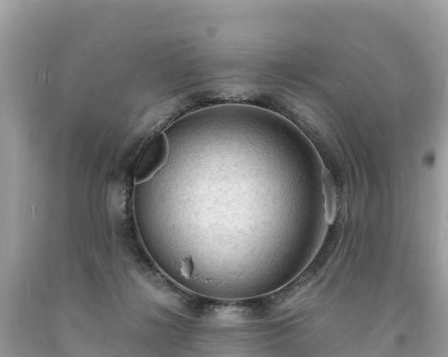 X0000093730268200710231157