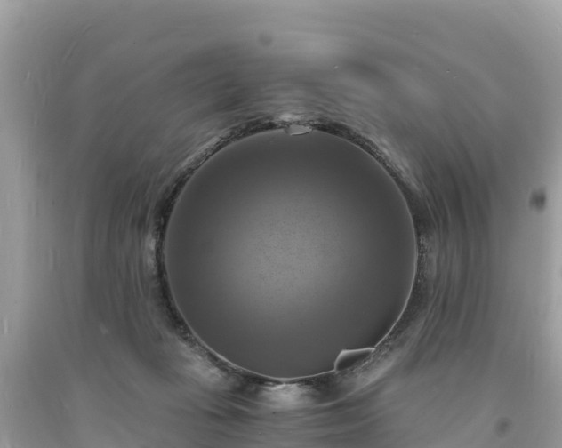 X0000093730269200710231157