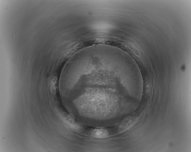 X0000093730275200710231157