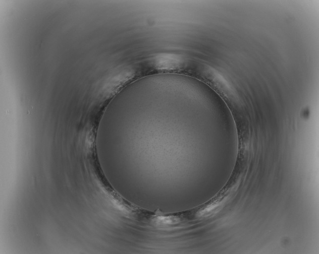 X0000093730277200710231157