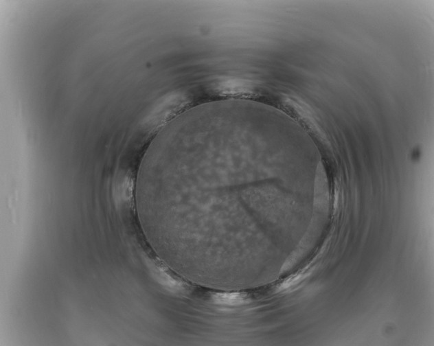 X0000093730281200710231157