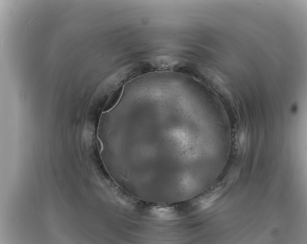 X0000093730283200710231157