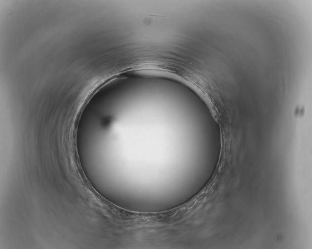 X0000093730289200710231157