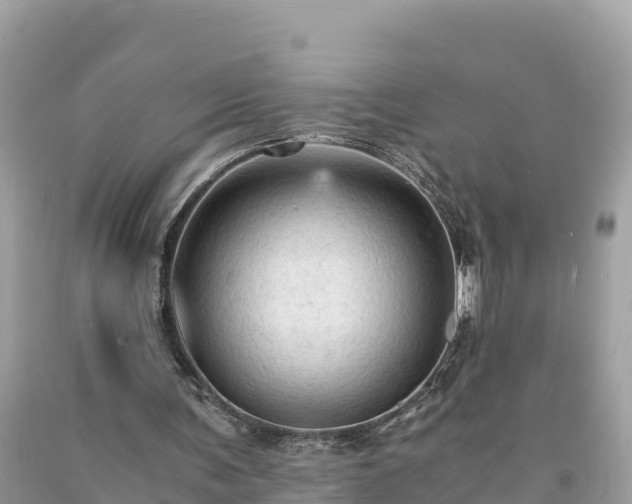X0000093730291200710231157