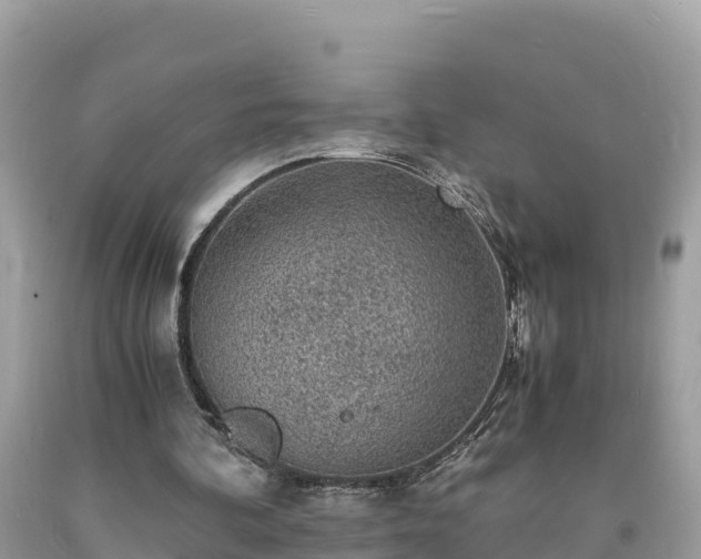 X0000093730292200710231157