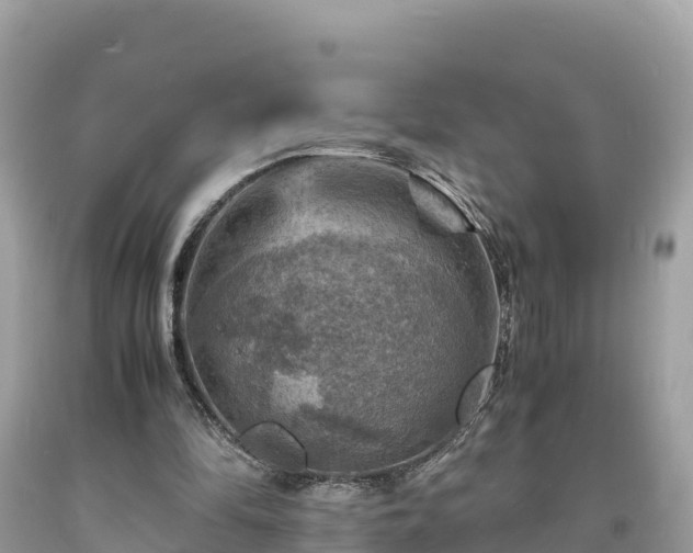 X0000093730294200710231157