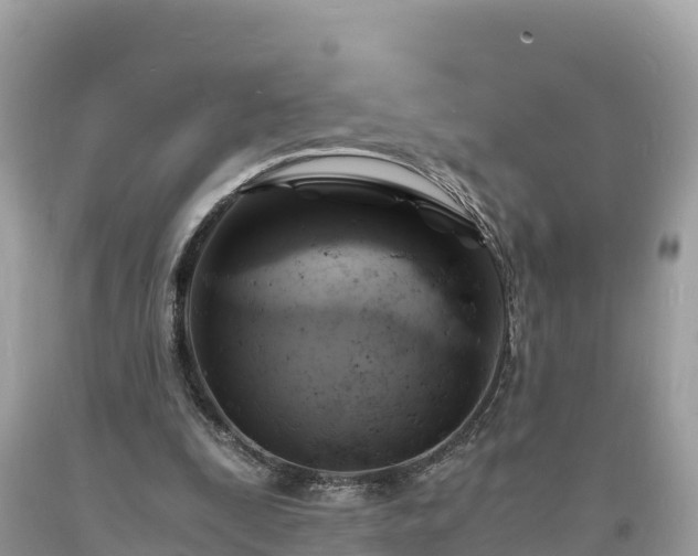 X0000093730295200710231157