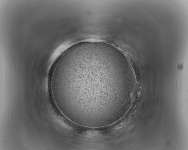 X0000093730296200710231157