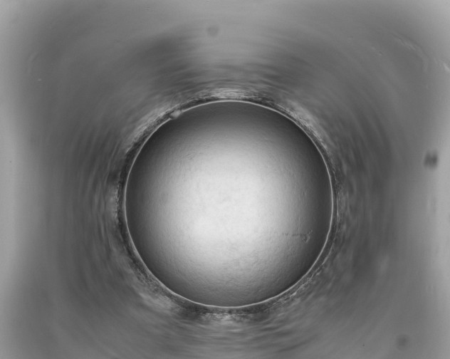 X0000093730297200710231157