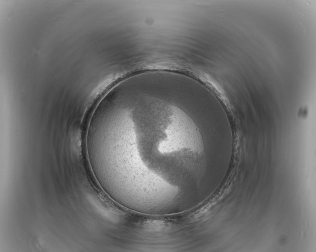 X0000093730298200710231157