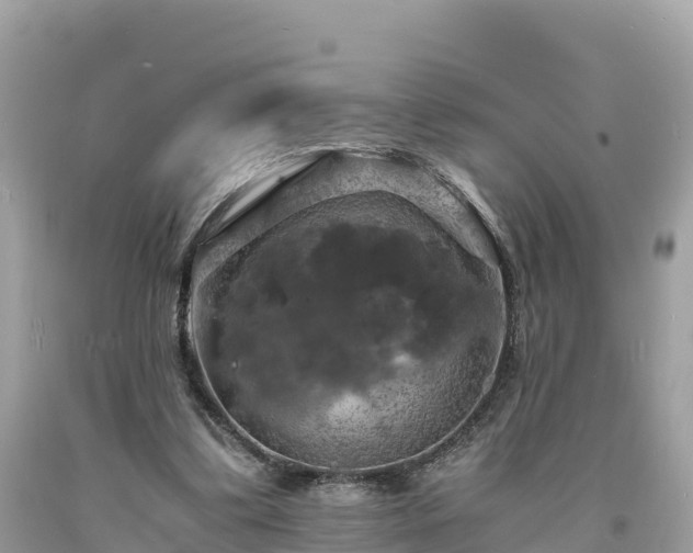 X0000093730299200710231157