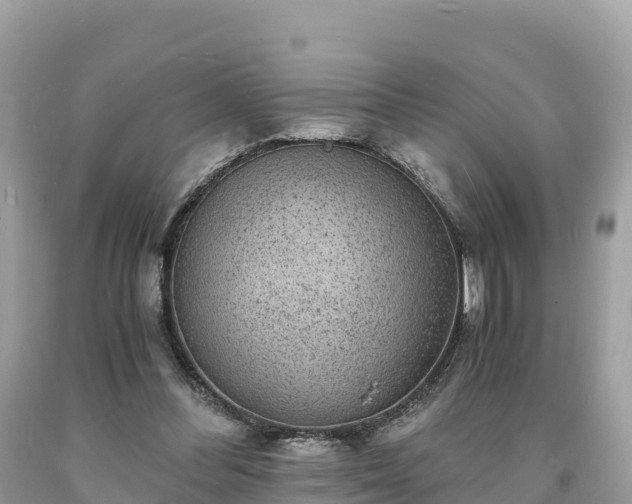 X0000093730300200710231157
