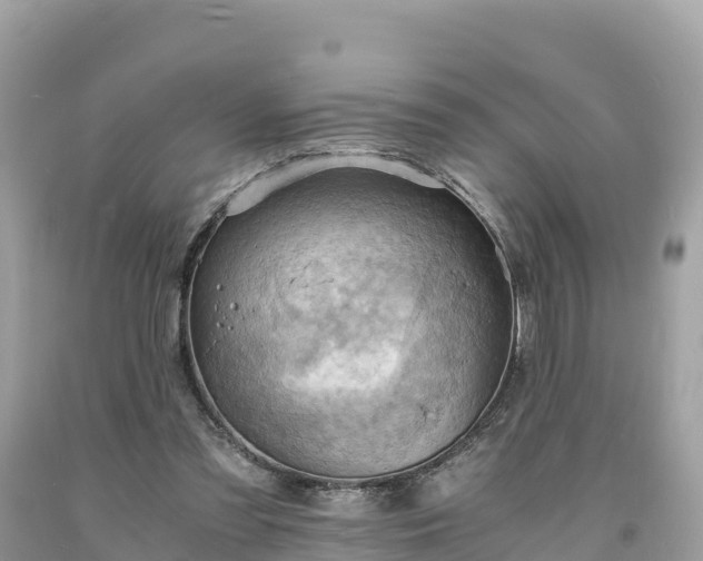 X0000093730301200710231157