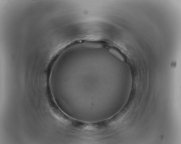 X0000093730303200710231157