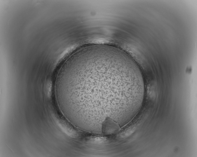 X0000093730304200710231157