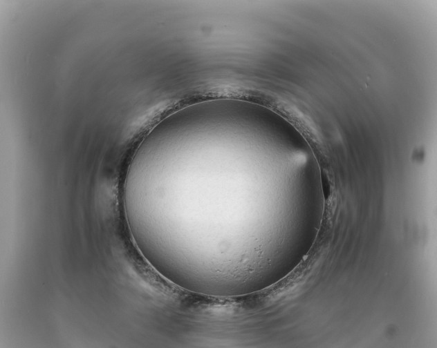 X0000093730306200710231157