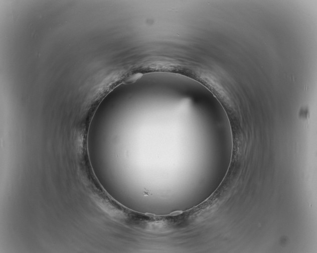 X0000093730309200710231157