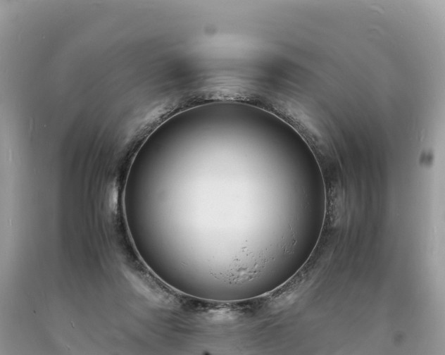 X0000093730310200710231157