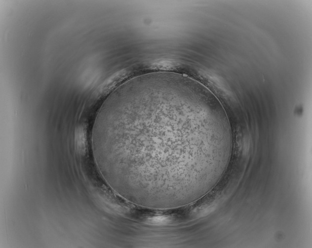 X0000093730312200710231157