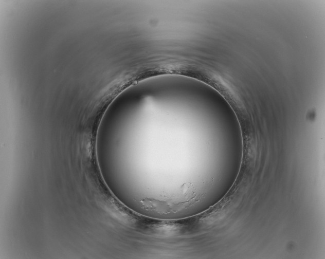 X0000093730313200710231157