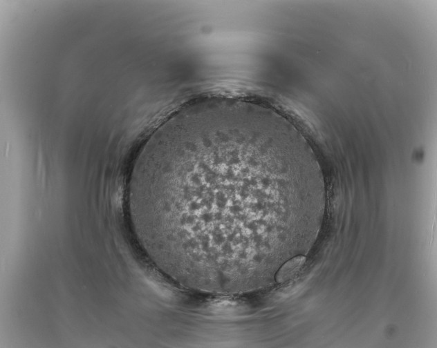 X0000093730315200710231157