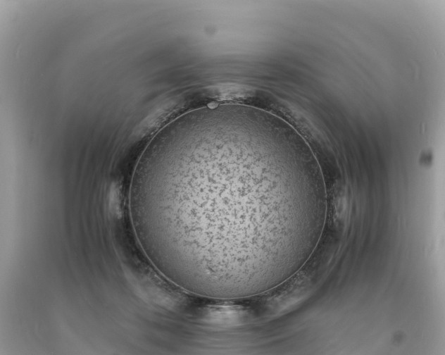 X0000093730316200710231156