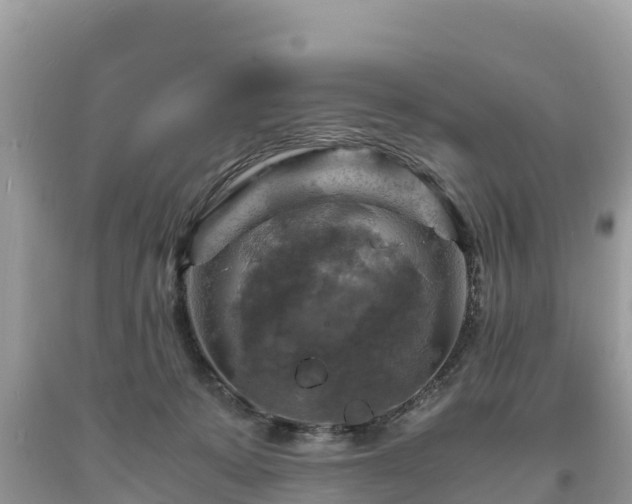 X0000093730319200710231156