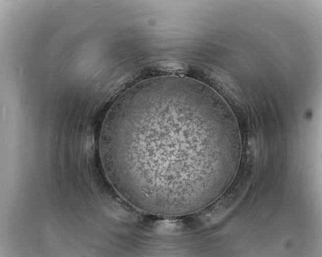 X0000093730320200710231156