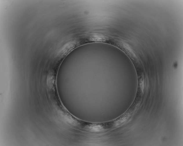 X0000093730322200710231156