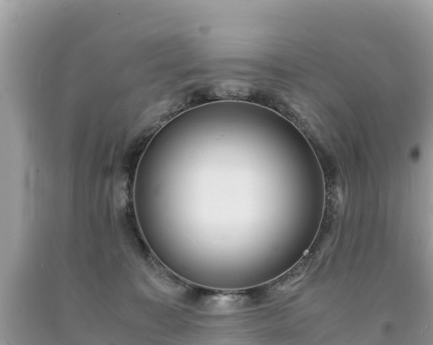 X0000093730323200710231156