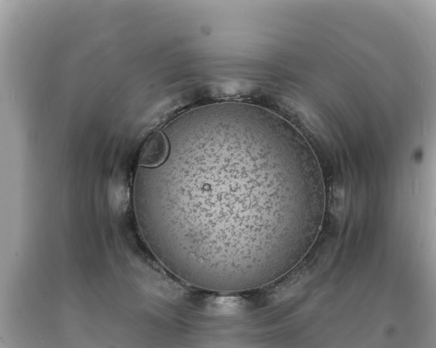 X0000093730324200710231156