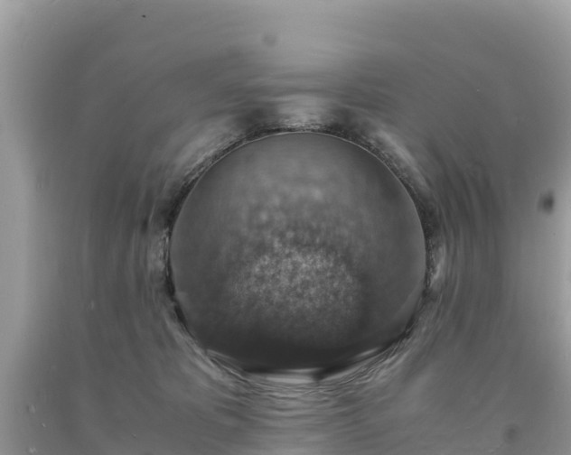 X0000093730325200710231156