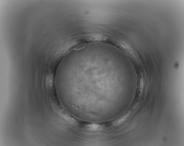 X0000093730326200710231156