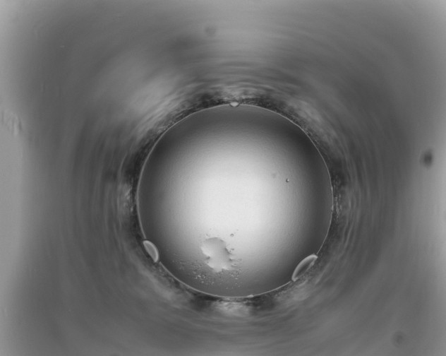 X0000093730327200710231156