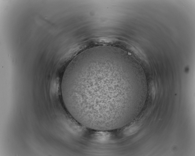 X0000093730328200710231156