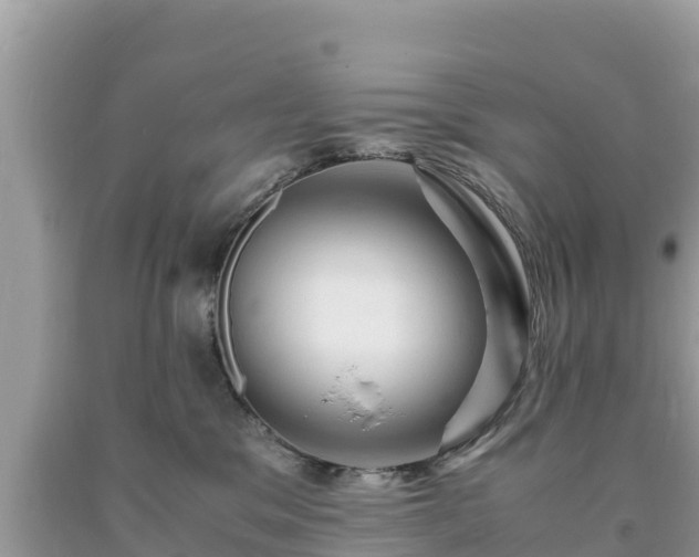 X0000093730329200710231156