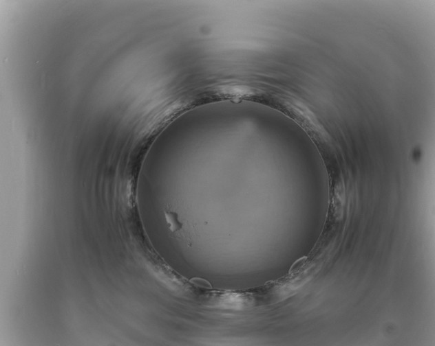 X0000093730330200710231156