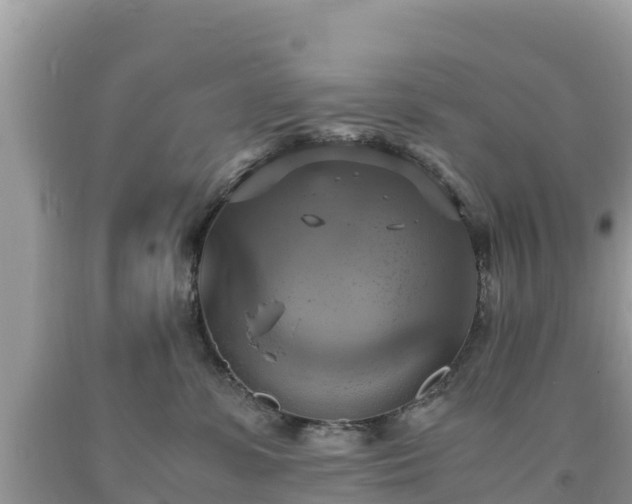 X0000093730331200710231156