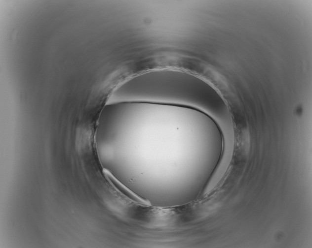 X0000093730333200710231156