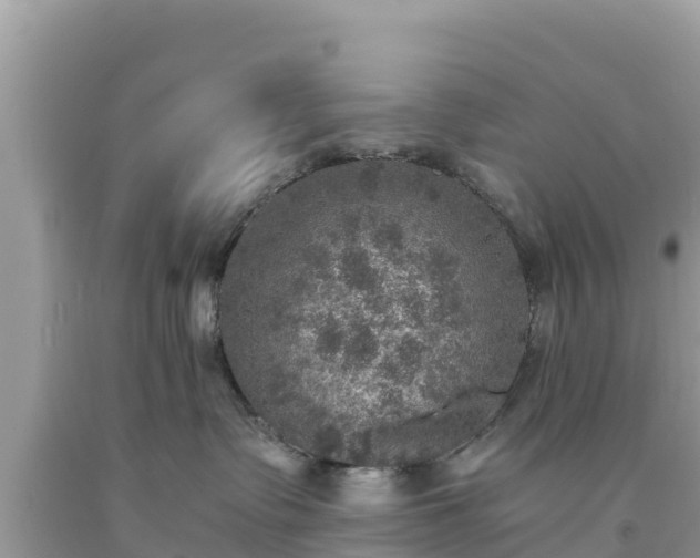 X0000093730335200710231156