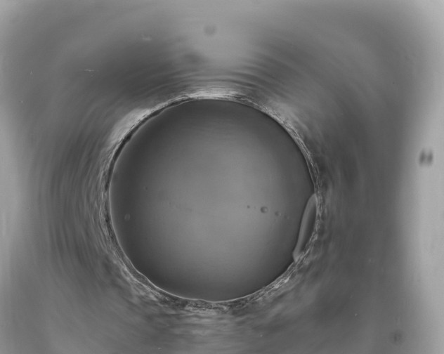 X0000093730337200710231156